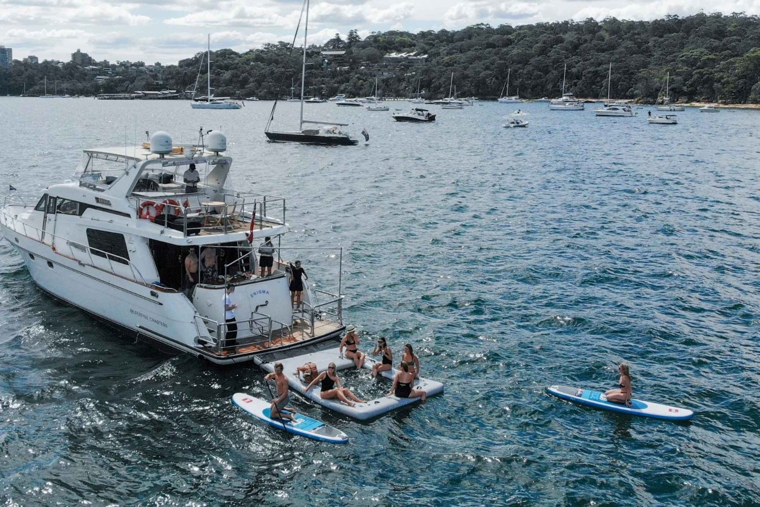 Sydney: Privé 4-uur durende luxe havencruise en zwemmen