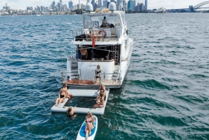 Sydney: Privat 4-timers luksuriøs havnekryssetur og svømming