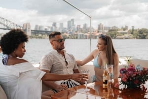 Sydney: cruzeiro privado de luxo de 4 horas pelo porto e mergulho