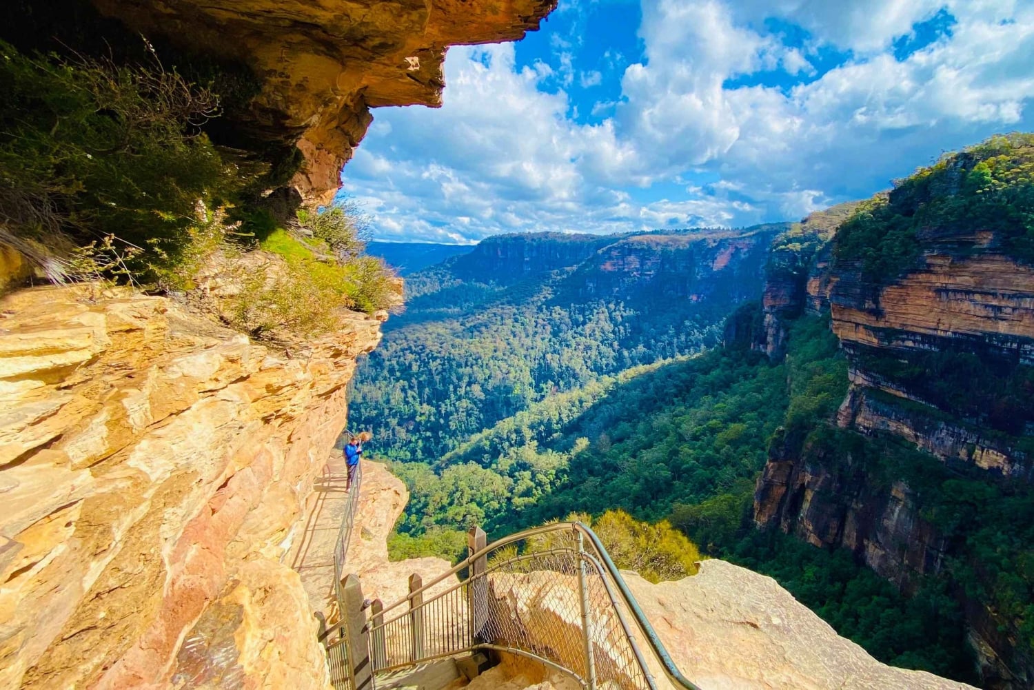 シドニー：ブルーマウンテンズの名所＆リバークルーズ（プライベート・ラグジュアリーツアー）