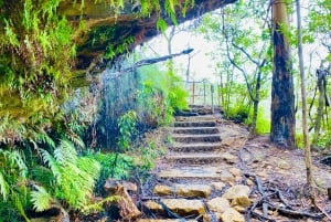 シドニー：ブルーマウンテンズの名所＆リバークルーズ（プライベート・ラグジュアリーツアー）