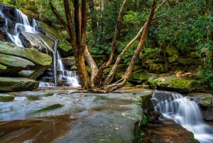 Sydney: Private Blue Mountains, Waterfalls, Walks & Meals