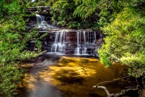 Sydney: Private Blue Mountains, vandfald, vandreture og måltider