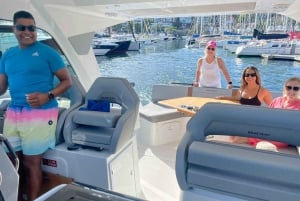 Sydney: Private Boat Tour of Sydney Harbour