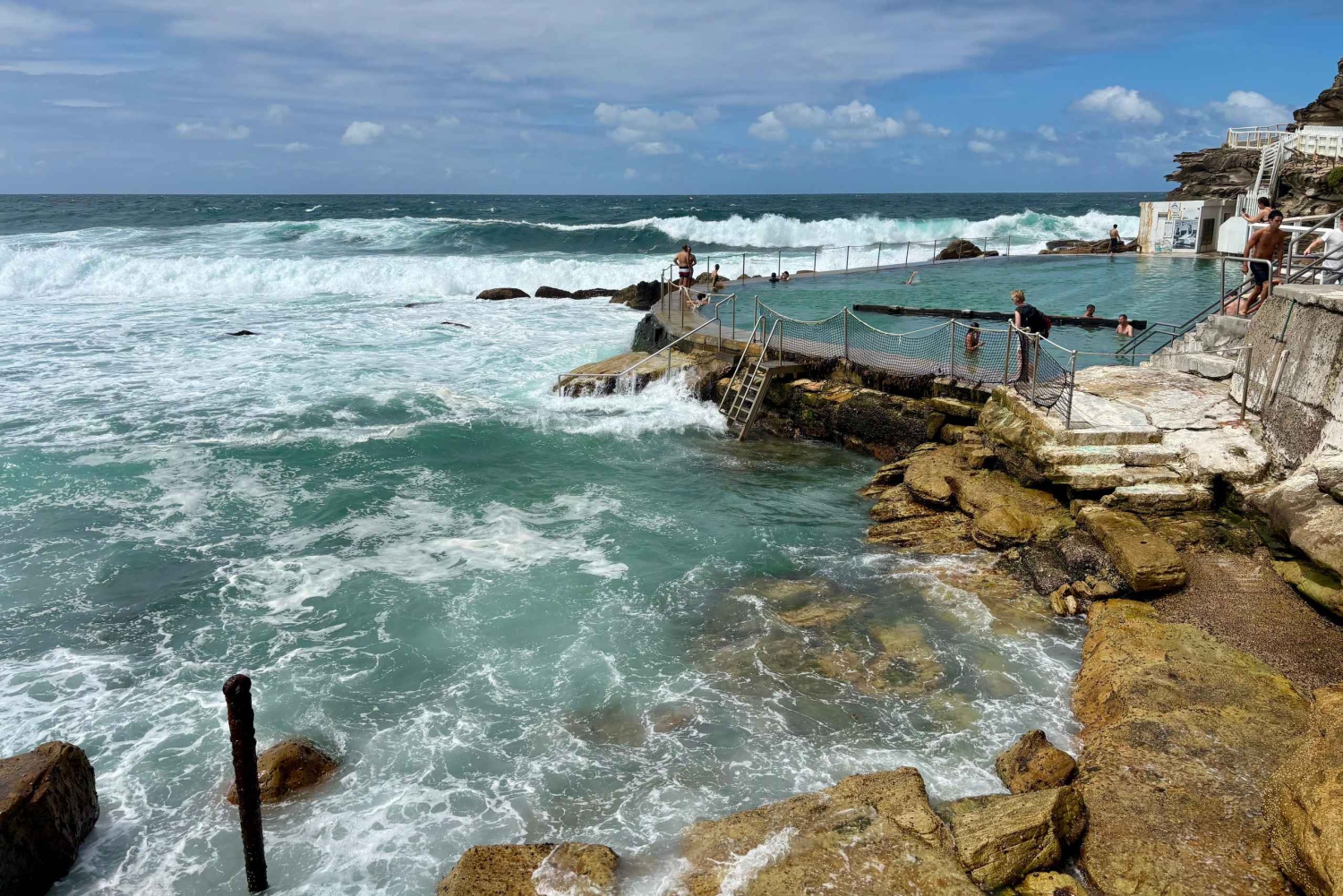 Sydney: city tour particular pelo porto e por Bondi com transfer