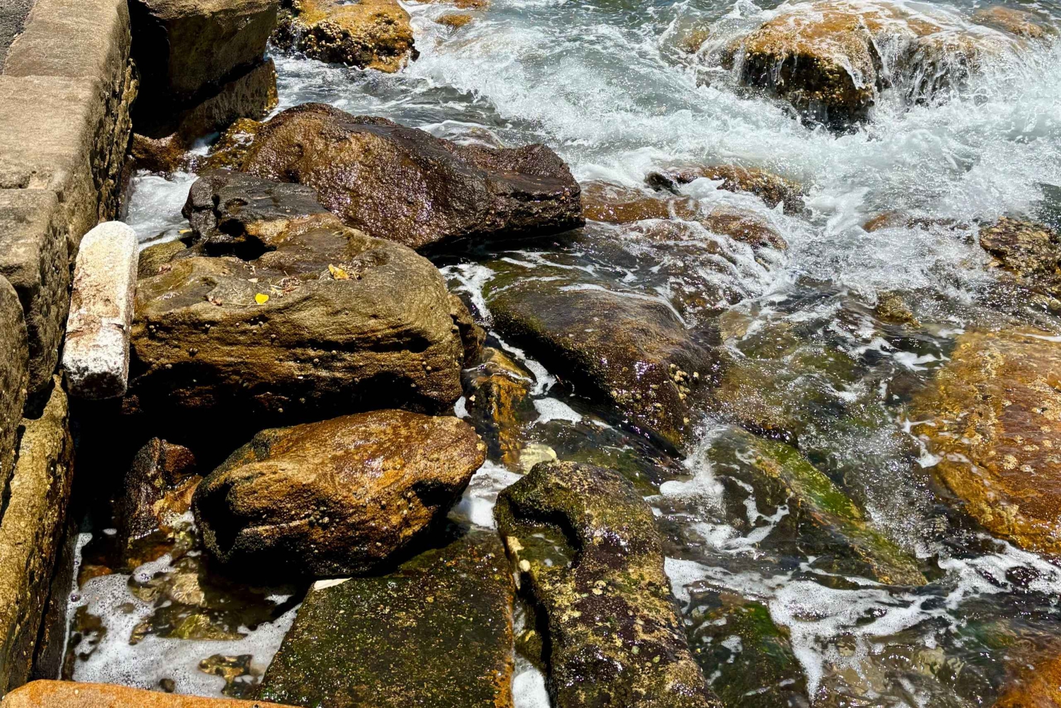 Sydney: city tour particular pelo porto e por Bondi com transfer