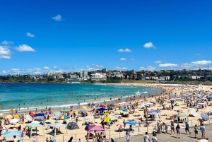 Sydney: city tour particular pelo porto e por Bondi com transfer
