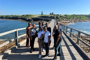 Sydney: city tour particular pelo porto e por Bondi com transfer