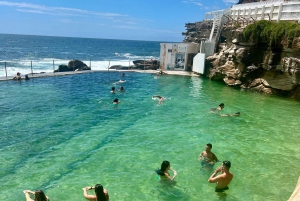 Sydney: city tour particular pelo porto e por Bondi com transfer