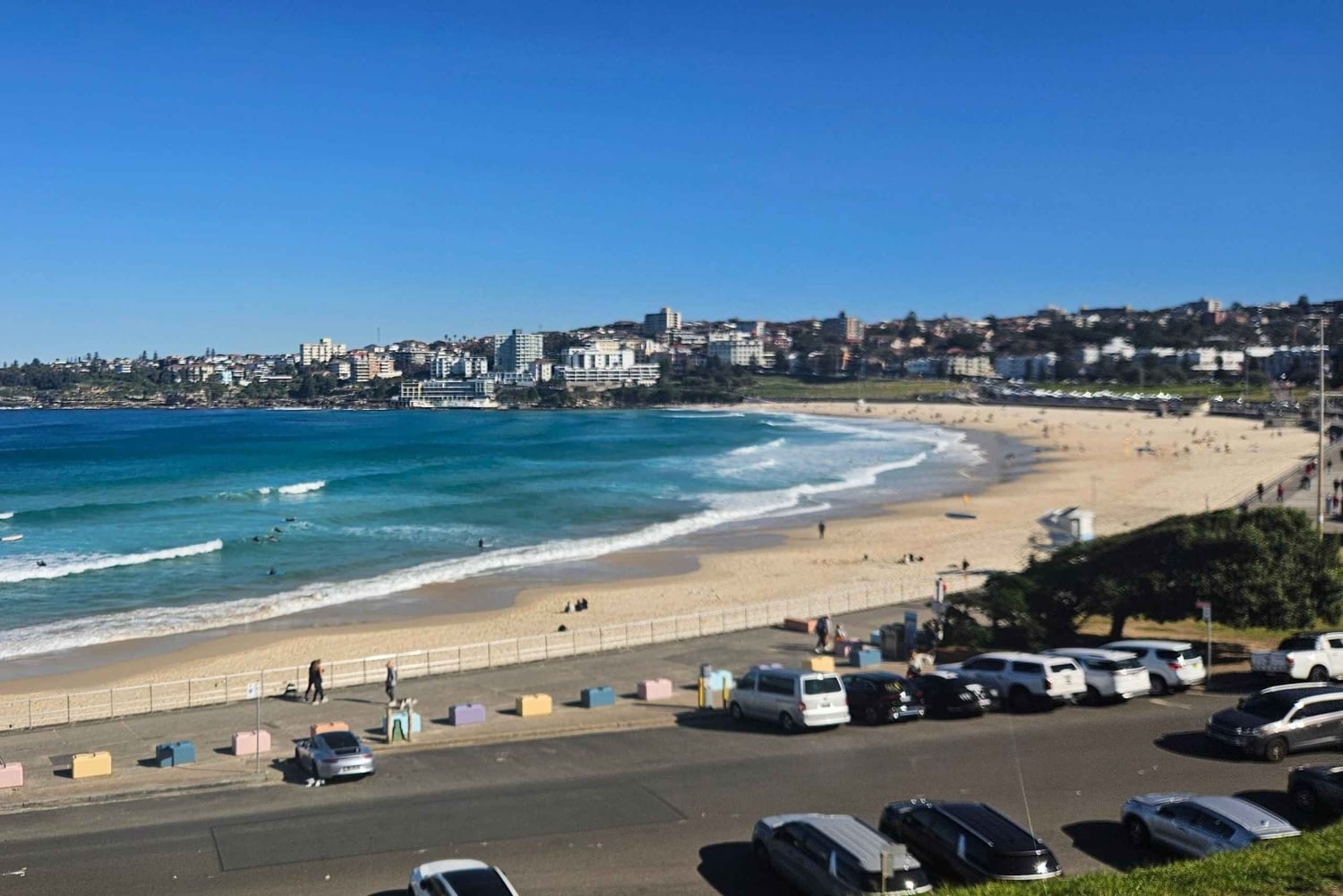 Sydney: tour privato della città in tedesco o inglese