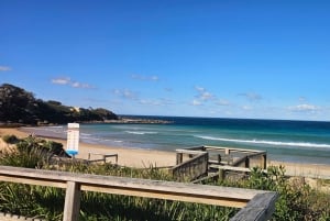 Sydney: tour privato della città in tedesco o inglese