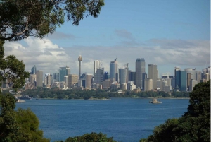 Sydney: Private custom tour with a local guide