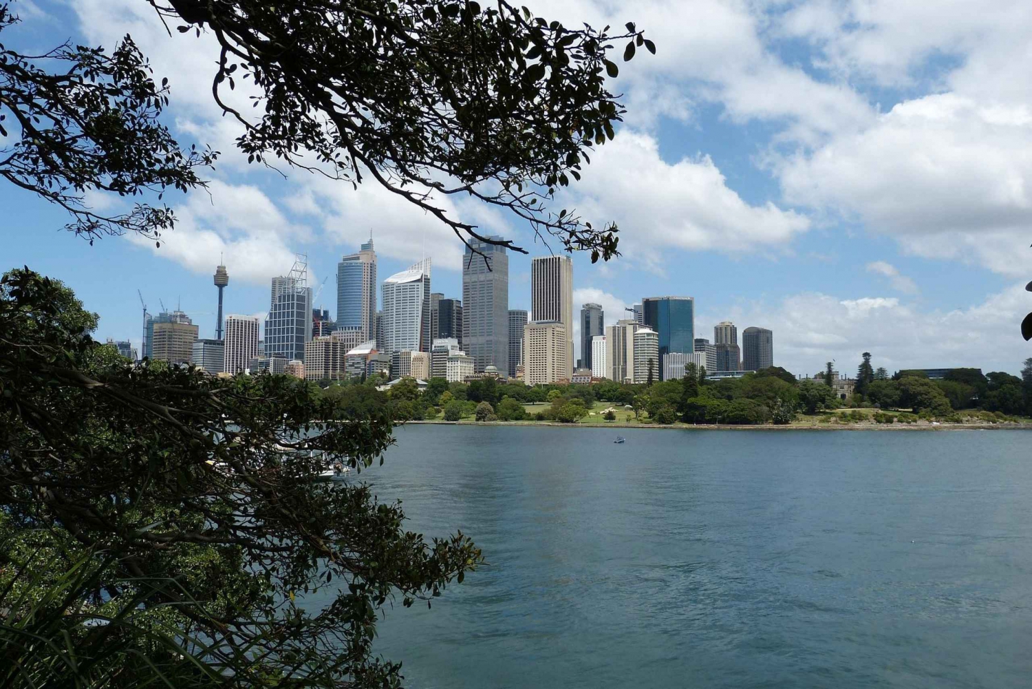 Sydney: Private anpassbare Tour mit einem Einheimischen