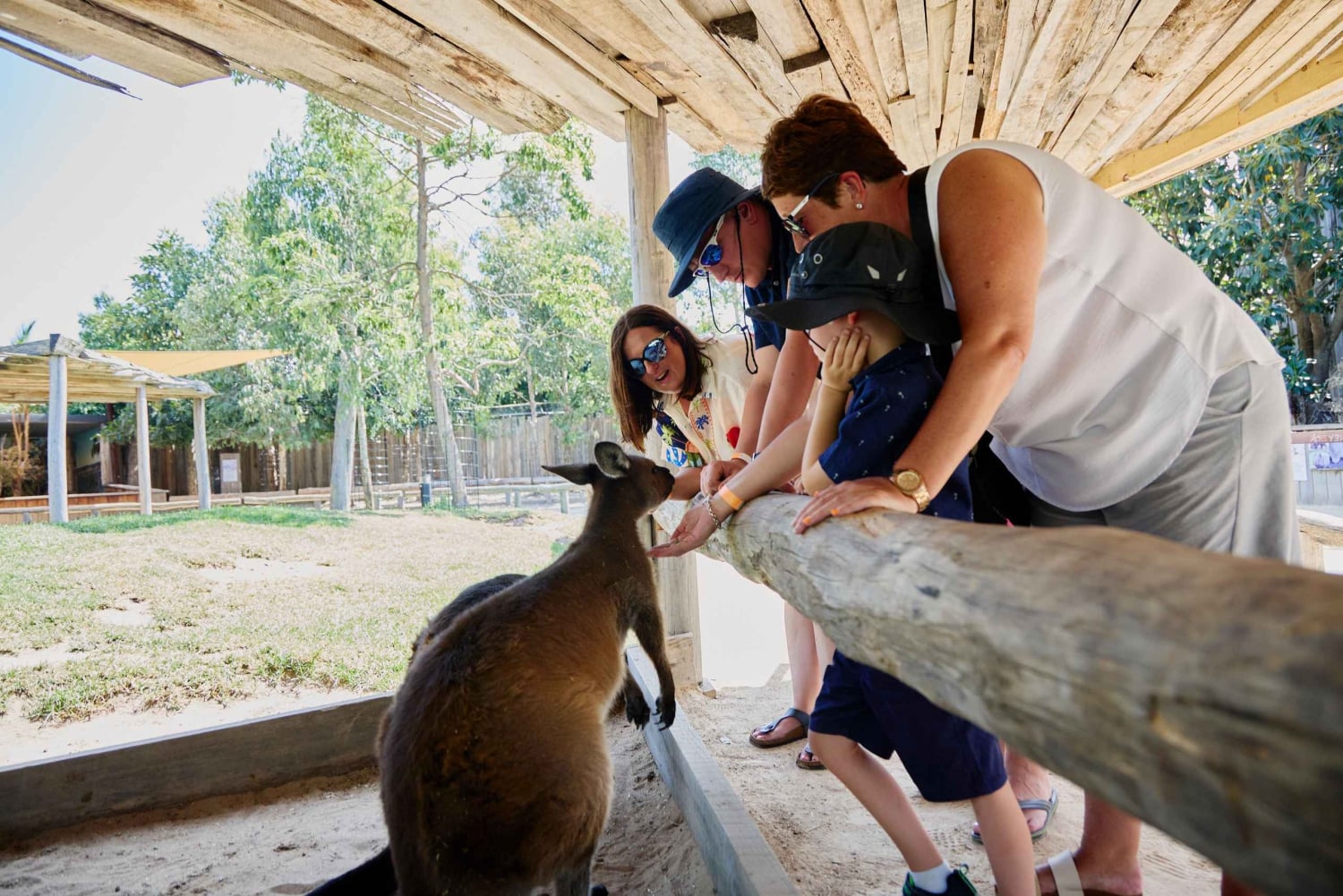 Sydney: privédagtocht naar de Blue Mountains