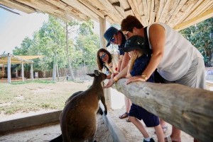Sydney: privédagtocht naar de Blue Mountains