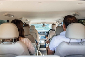 Sydney: privédagtocht naar de Blue Mountains