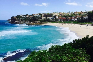 Sydney: prywatna całodzienna wycieczka po mieście z lokalnym doświadczonym przewodnikiem