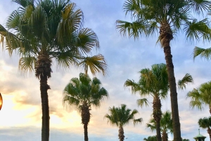 Sydney: prywatna całodzienna wycieczka po mieście z lokalnym doświadczonym przewodnikiem