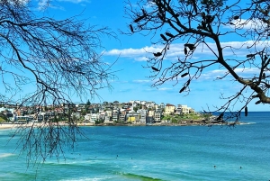 Sydney: prywatna całodzienna wycieczka po mieście z lokalnym doświadczonym przewodnikiem