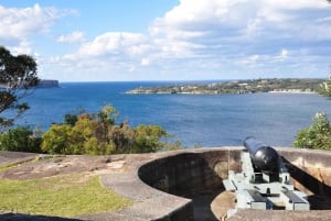 Sydney: Private Half-Day Sightseeing Tour