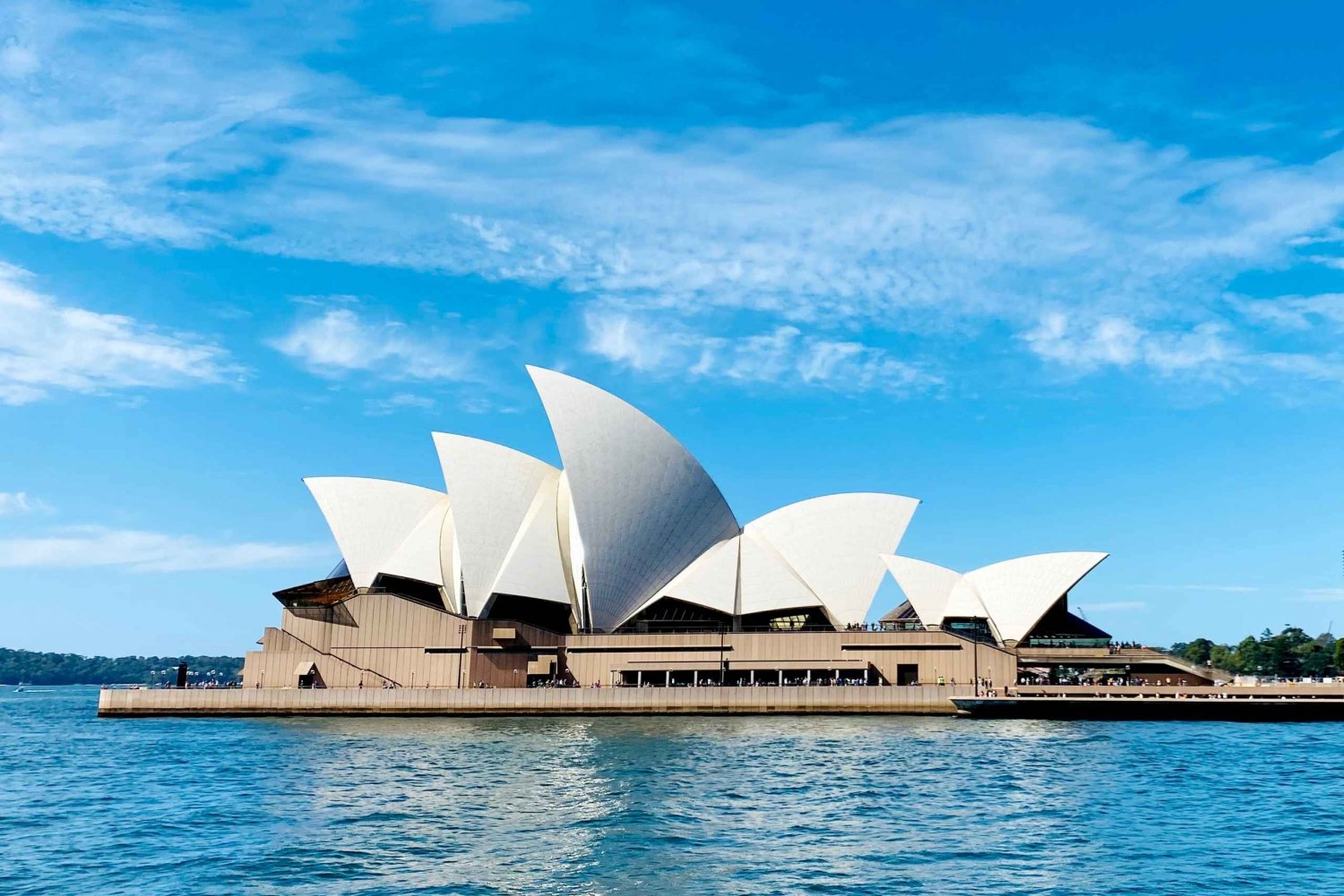 Sydney Private Half Day Tour, Opera House, Bridge, Bondi