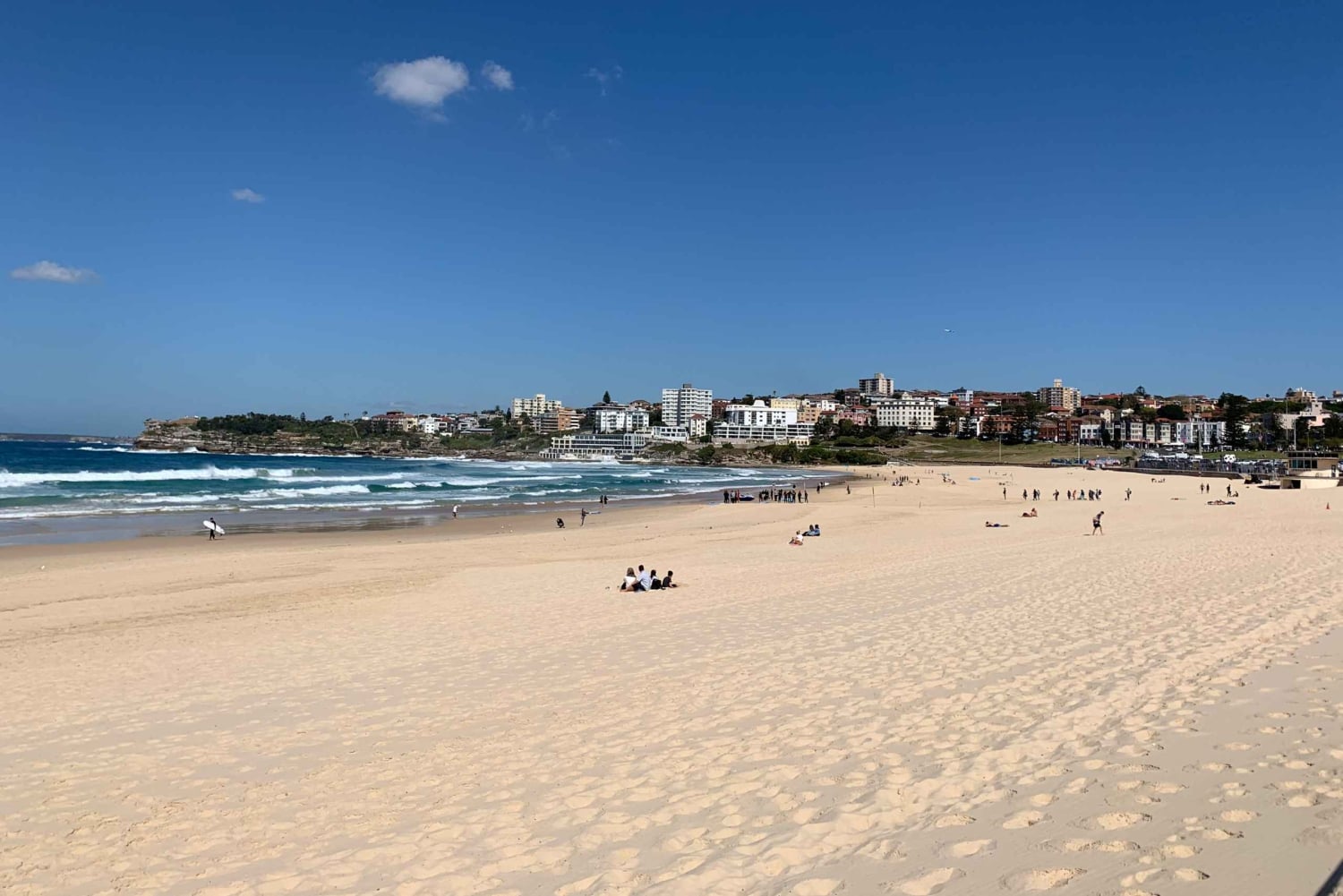 Sydney: Prywatna półdniowa lub całodniowa wycieczka krajoznawcza