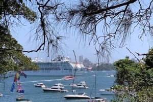 Sydney: Private Half or Full-Day Sightseeing Tour