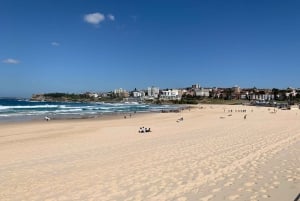 Sydney: Prywatna półdniowa lub całodniowa wycieczka krajoznawcza