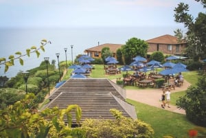 Sydney: Prywatna półdniowa lub całodniowa wycieczka krajoznawcza