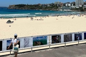 Sydney: Prywatna półdniowa lub całodniowa wycieczka krajoznawcza