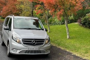 Sydney: Prywatna półdniowa lub całodniowa wycieczka krajoznawcza