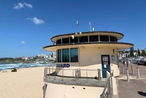 Sydney: Prywatna półdniowa lub całodniowa wycieczka krajoznawcza