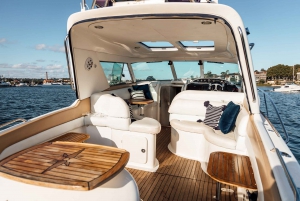 Sydney: Private Harbour Cruise for Vivid Festival Lights