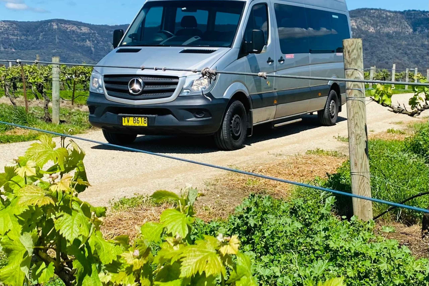 Sydney: Private Hunter Valley Premium Wine Tasting Luxe Tour