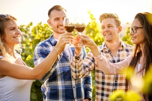 Sydney: Private Hunter Valley Premium Wine Tasting Luxe Tour