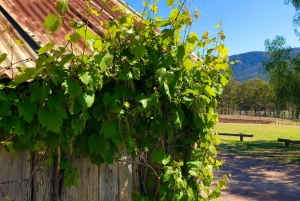 Sydney: Private Hunter Valley Premium Wine Tasting Luxe Tour