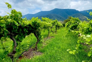Sydney: Private Hunter Valley Premium Wine Tasting Luxe Tour
