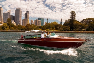 Sydney: Private 2 Hour Icons and Highlights Harbour Cruise