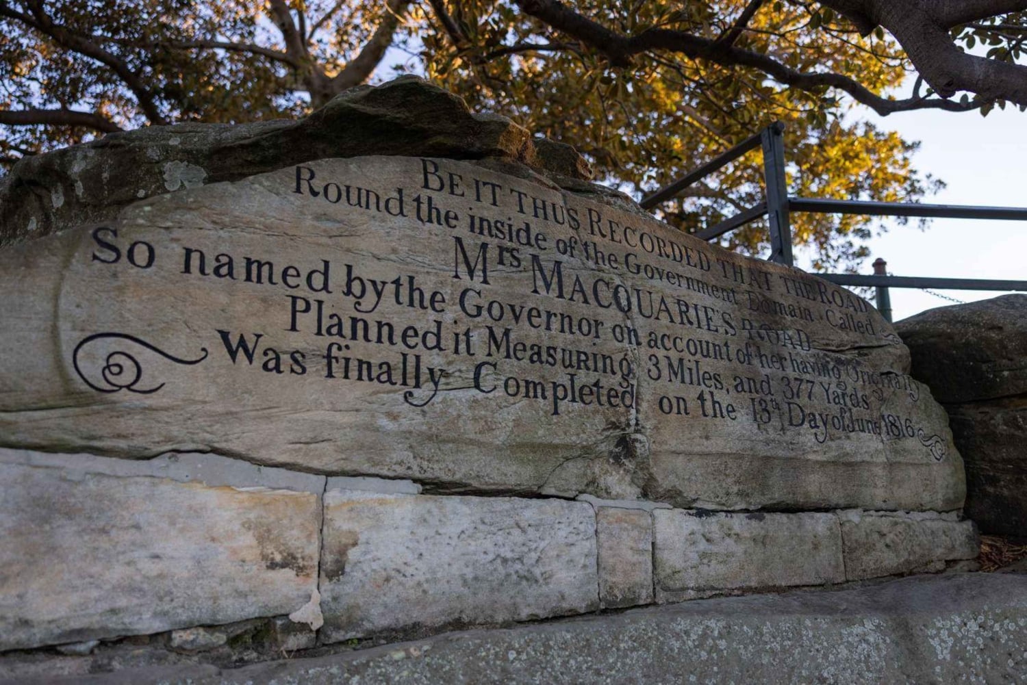 Sydney: Private Night Tour