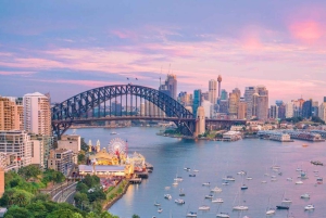 Sydney: Private Night Tour