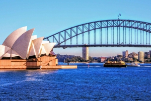 Sydney: Sydney Harbour Walking Tour: Private Quay People, Sydney Harbour Walking Tour