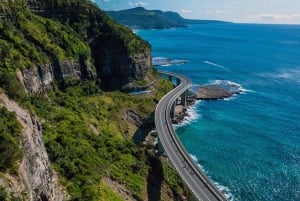 Sydney: Excursão privada pela costa sul, terras altas e Kiama