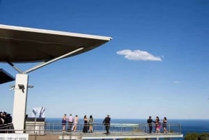 Sydney: Excursão privada pela costa sul, terras altas e Kiama