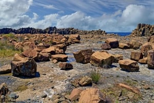 Sydney: Excursão privada pela costa sul, terras altas e Kiama
