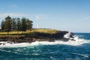Sydney: Excursão privada pela costa sul, terras altas e Kiama