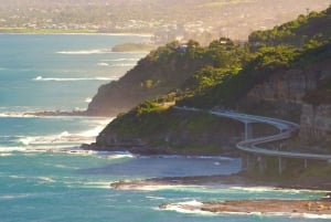 Sydney: Excursão privada pela costa sul, terras altas e Kiama