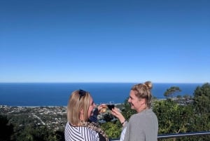 Sydney: Excursão privada pela costa sul, terras altas e Kiama