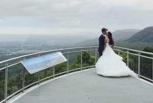 Sydney: Excursão privada pela costa sul, terras altas e Kiama