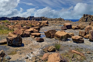 シドニー：プライベート・サウスコースト、ハイランズ、キアマツアー