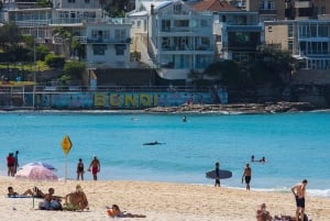 Sydney: Privat tur til Sydneys beste strender